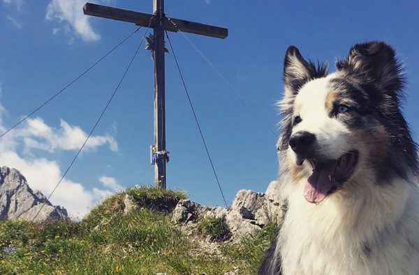 Pension Sonnenhof *** - Hund Header Wandern 1680X700