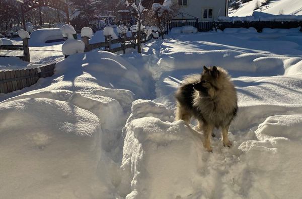 Hotel Sonja *** - 139370936 3670072283039804 1816354363521434759 N