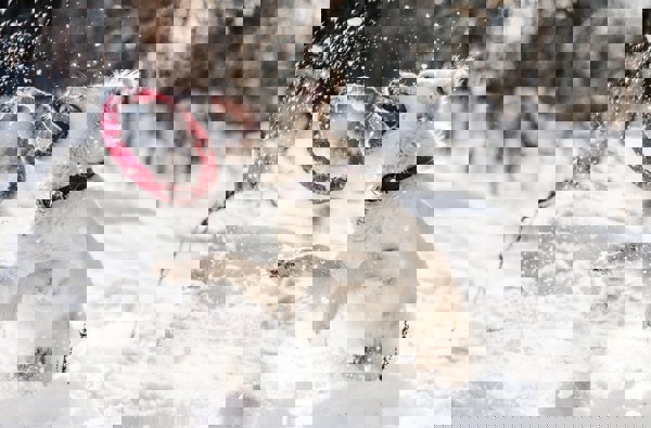 Hotel Torgglerhof***S - Anastasia Ulyanova Fwwth1 O6xi Unsplash