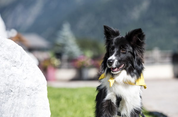 Panorama Resort Taljörgele **** - DSC4566 (1)