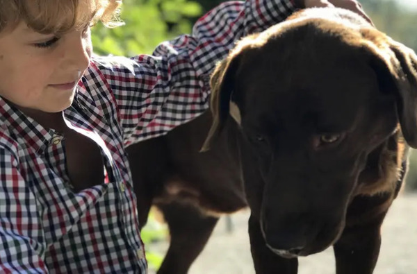 Im Tiefenbrunn - Gardensuites & Breakfast**** - Csm Img E8362 E96062a02a